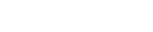 Digi Advertiser - Digital Marketing Agency